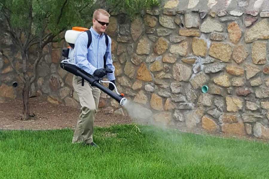 Mosquito Exterminators at Pest Defense Solutions in El Paso Texas
