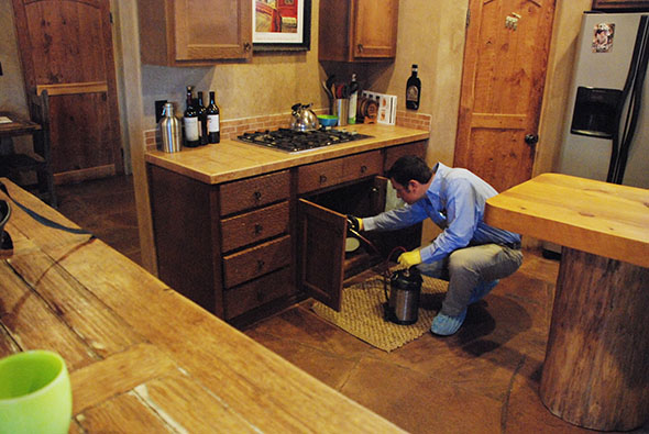 Pantry Pest home extermination control provided by Pest Defense Solutions in El Paso TX