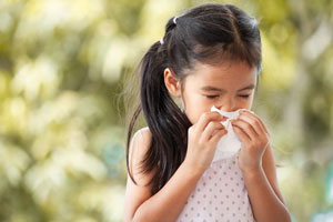Pests could be triggering your springtime allergies in El Paso Texas - Pest Defense Solutions