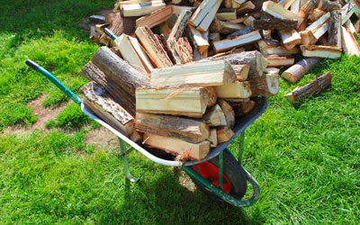 Firewood can attract termites to your property in El Paso Texas. Pest Defense Solutions.
