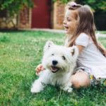Tick prevention for pets in El Paso TX - Pest Defense Solutions