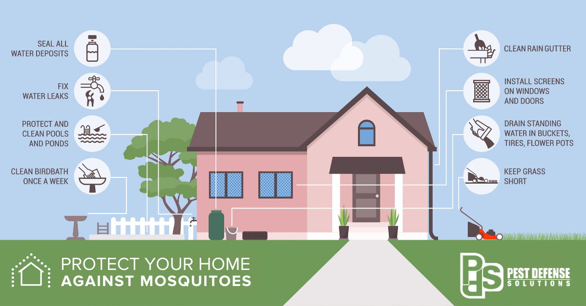 Mosquito prevention infographic in El Paso TX - Pest Defense Solutions