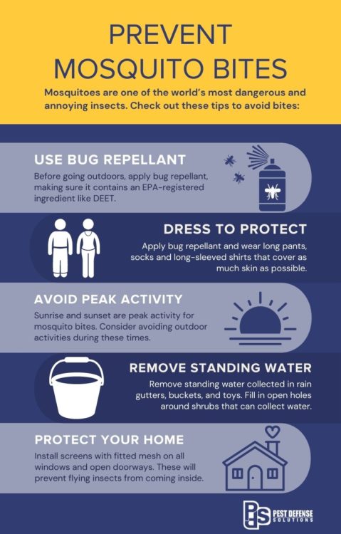 How to prevent mosquito bites in El Paso TX - Pest Defense Solutions El Paso