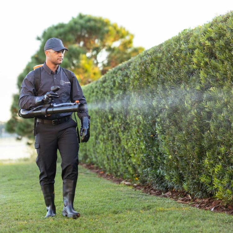 Pest Defense Solutions Pest Control expert spraying for ticks in El Paso, TX